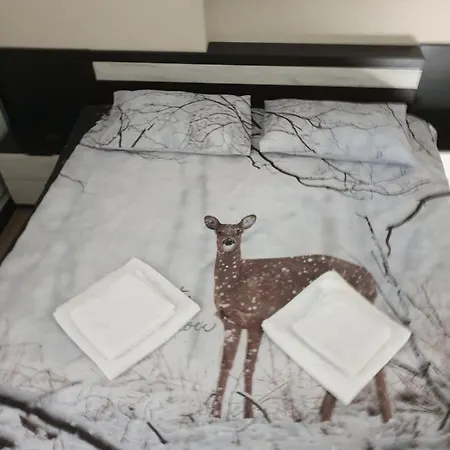 Luxury Two Bedroom Flat *
